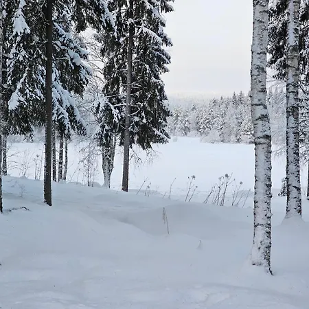 Vaarna